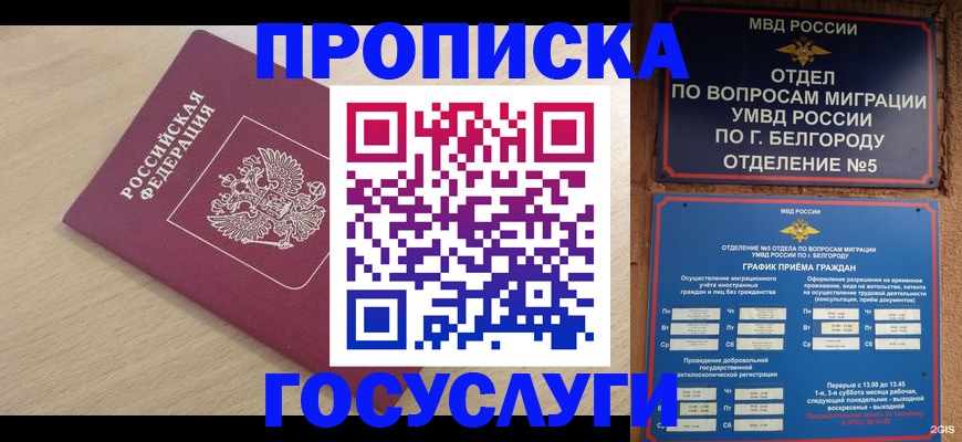 прописка законно в Мирном